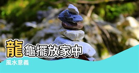 龍龜擺放方向|【龍龜方向】風水秘笈！揭曉龍龜擺放方向招好運 – 虞默莧師傅